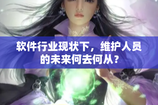軟件行業(yè)現(xiàn)狀下，維護人員的未來何去何從？