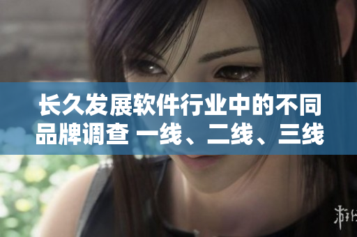 長(zhǎng)久發(fā)展軟件行業(yè)中的不同品牌調(diào)查 一線、二線、三線品牌各有何特點(diǎn)？