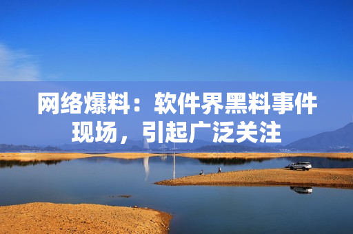 網(wǎng)絡(luò)爆料：軟件界黑料事件現(xiàn)場，引起廣泛關(guān)注