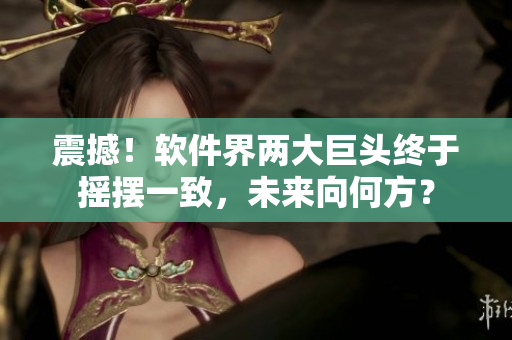 震撼！軟件界兩大巨頭終于搖擺一致，未來(lái)向何方？