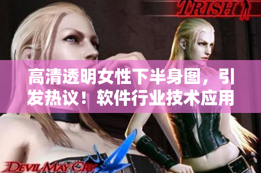 高清透明女性下半身圖，引發(fā)熱議！軟件行業(yè)技術(shù)應(yīng)用探討