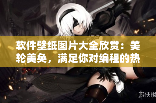 軟件壁紙圖片大全欣賞：美輪美奐，滿足你對(duì)編程的熱愛(ài)！