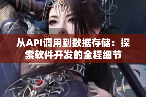 從API調(diào)用到數(shù)據(jù)存儲(chǔ)：探索軟件開發(fā)的全程細(xì)節(jié)