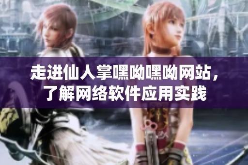 走進仙人掌嘿呦嘿呦網(wǎng)站，了解網(wǎng)絡(luò)軟件應(yīng)用實踐