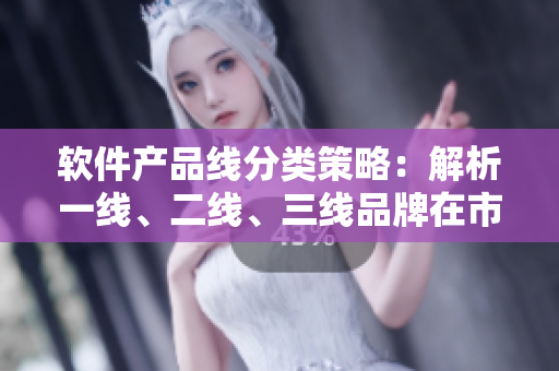 軟件產(chǎn)品線分類策略：解析一線、二線、三線品牌在市場競爭中的作用