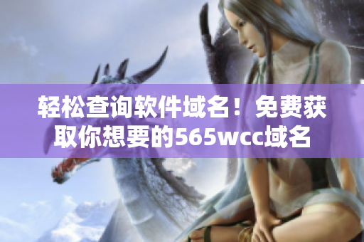輕松查詢軟件域名！免費獲取你想要的565wcc域名