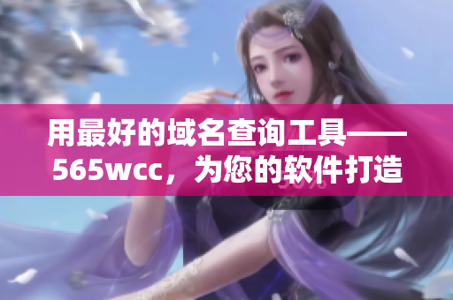 用最好的域名查詢工具——565wcc，為您的軟件打造完美網(wǎng)站