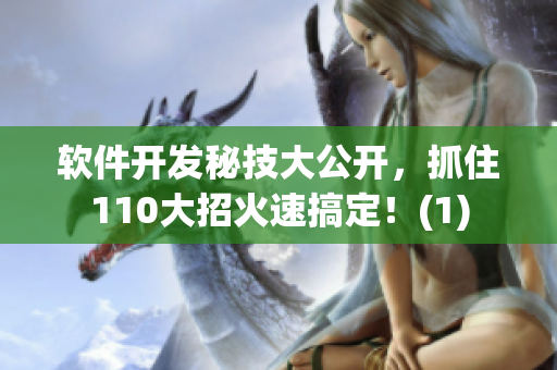 軟件開發(fā)秘技大公開，抓住110大招火速搞定！(1)