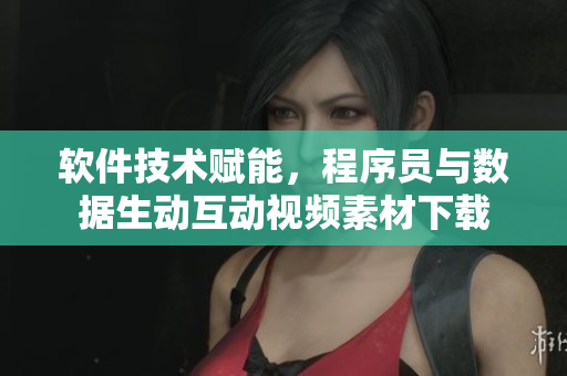 軟件技術(shù)賦能，程序員與數(shù)據(jù)生動互動視頻素材下載