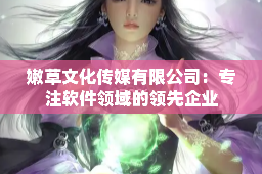 嫩草文化傳媒有限公司：專注軟件領域的領先企業(yè)