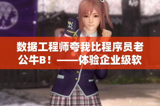 數(shù)據(jù)工程師夸我比程序員老公牛B！——體驗企業(yè)級軟件開發(fā)的巔峰之作