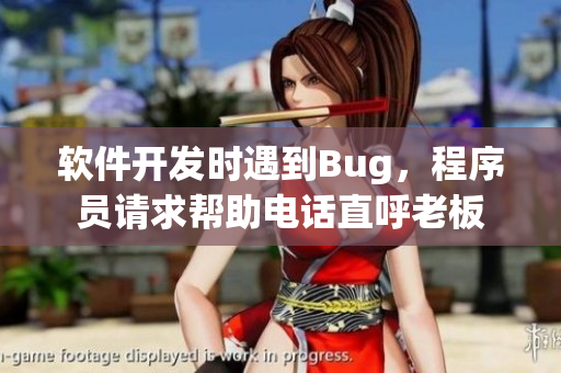 軟件開發(fā)時(shí)遇到Bug，程序員請(qǐng)求幫助電話直呼老板