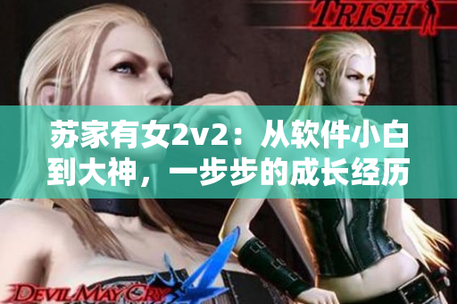蘇家有女2v2：從軟件小白到大神，一步步的成長經(jīng)歷