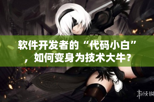 軟件開(kāi)發(fā)者的“代碼小白”，如何變身為技術(shù)大牛？