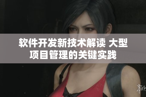 軟件開發(fā)新技術(shù)解讀 大型項(xiàng)目管理的關(guān)鍵實(shí)踐