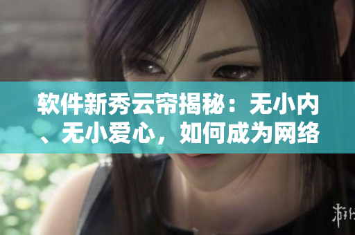 軟件新秀云簾揭秘：無小內(nèi)、無小愛心，如何成為網(wǎng)絡(luò)軟件行業(yè)中的佼佼者？