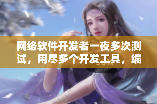網(wǎng)絡(luò)軟件開(kāi)發(fā)者一夜多次測(cè)試，用盡多個(gè)開(kāi)發(fā)工具，編寫(xiě)出完美軟件！