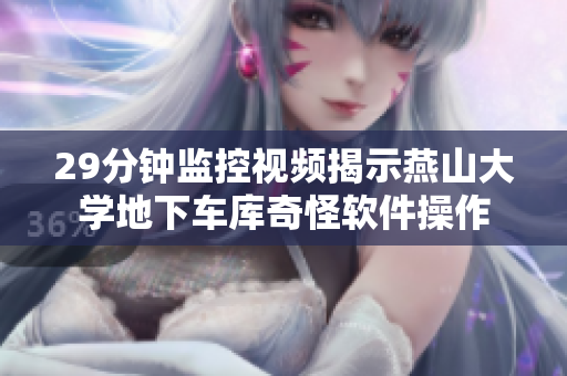 29分鐘監(jiān)控視頻揭示燕山大學(xué)地下車庫(kù)奇怪軟件操作