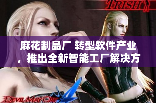 麻花制品廠 轉型軟件產業(yè)，推出全新智能工廠解決方案