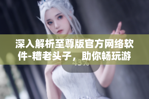 深入解析至尊版官方網(wǎng)絡(luò)軟件-糟老頭子，助你暢玩游戲