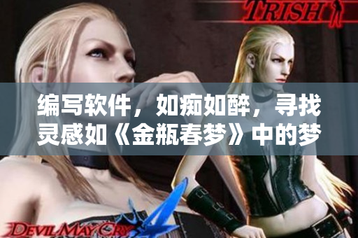 編寫軟件，如癡如醉，尋找靈感如《金瓶春夢》中的夢境