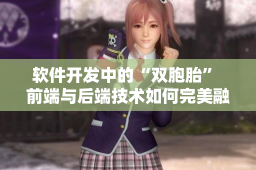 軟件開發(fā)中的“雙胞胎” 前端與后端技術(shù)如何完美融合