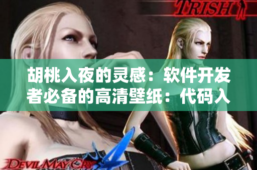 胡桃入夜的靈感：軟件開發(fā)者必備的高清壁紙：代碼入夜，攜胡桃狂飆！