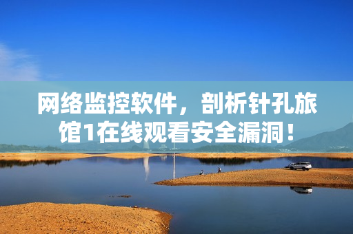 網(wǎng)絡(luò)監(jiān)控軟件，剖析針孔旅館1在線觀看安全漏洞！