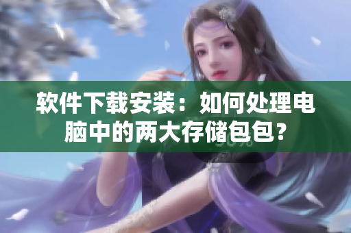 軟件下載安裝：如何處理電腦中的兩大存儲(chǔ)包包？