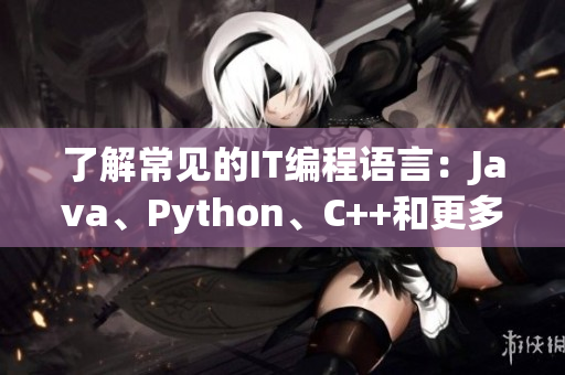 了解常見的IT編程語言：Java、Python、C++和更多！