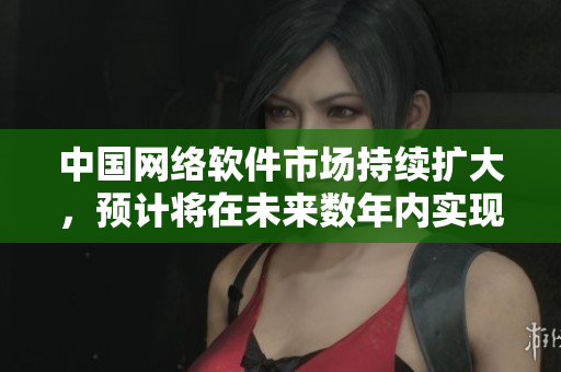 中國網(wǎng)絡(luò)軟件市場持續(xù)擴(kuò)大，預(yù)計(jì)將在未來數(shù)年內(nèi)實(shí)現(xiàn)穩(wěn)定增長