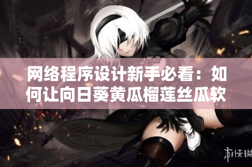 網(wǎng)絡(luò)程序設(shè)計新手必看：如何讓向日葵黃瓜榴蓮絲瓜軟件共同運行？