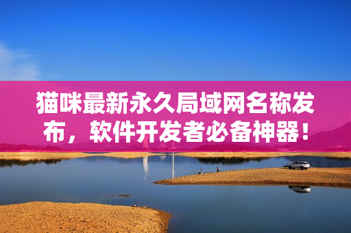 貓咪最新永久局域網(wǎng)名稱發(fā)布，軟件開發(fā)者必備神器！