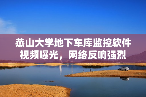 燕山大學(xué)地下車庫監(jiān)控軟件視頻曝光，網(wǎng)絡(luò)反響強(qiáng)烈