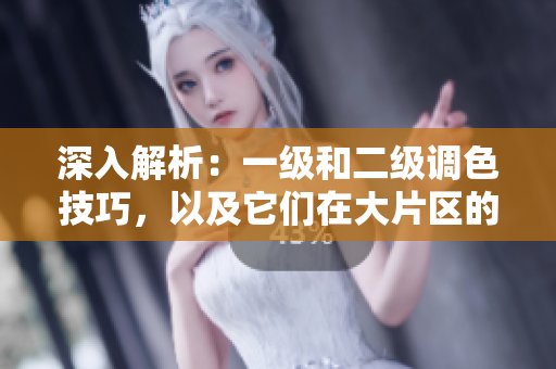 深入解析：一級(jí)和二級(jí)調(diào)色技巧，以及它們?cè)诖笃瑓^(qū)的應(yīng)用差異