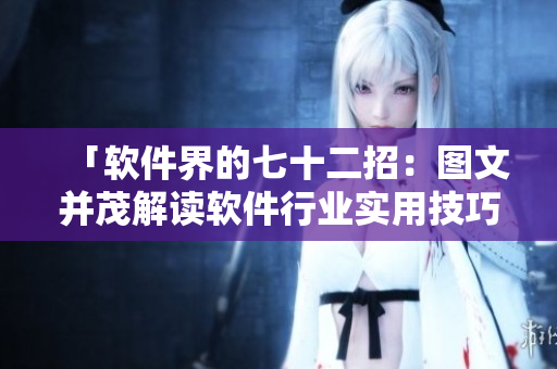 「軟件界的七十二招：圖文并茂解讀軟件行業(yè)實用技巧」