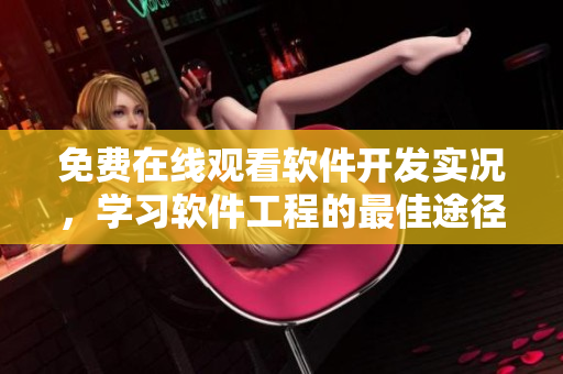 免費(fèi)在線觀看軟件開(kāi)發(fā)實(shí)況，學(xué)習(xí)軟件工程的最佳途徑