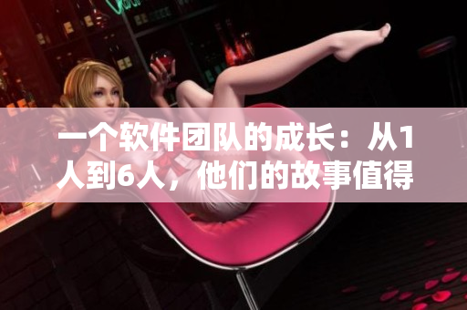 一個(gè)軟件團(tuán)隊(duì)的成長(zhǎng)：從1人到6人，他們的故事值得一讀！
