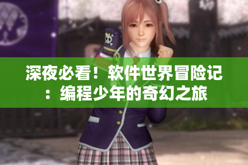 深夜必看！軟件世界冒險(xiǎn)記：編程少年的奇幻之旅