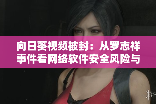 向日葵視頻被封：從羅志祥事件看網絡軟件安全風險與防護策略