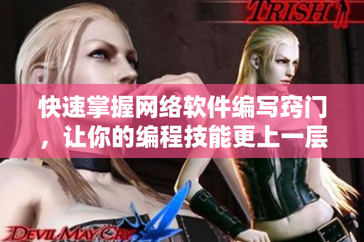 快速掌握網(wǎng)絡(luò)軟件編寫竅門，讓你的編程技能更上一層樓