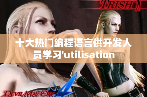 十大熱門編程語(yǔ)言供開(kāi)發(fā)人員學(xué)習(xí)'utilisation