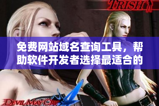 免費(fèi)網(wǎng)站域名查詢工具，幫助軟件開發(fā)者選擇最適合的域名
