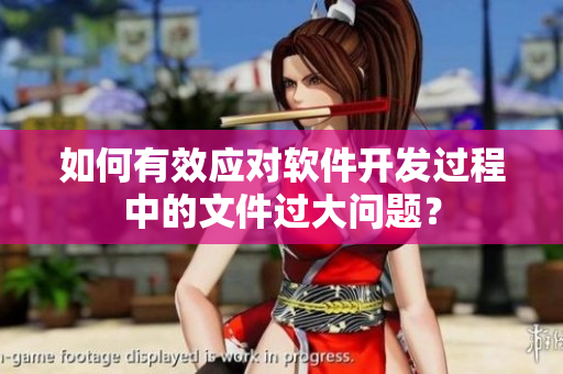 如何有效應(yīng)對軟件開發(fā)過程中的文件過大問題？
