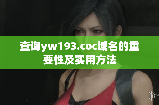 查詢yw193.coc域名的重要性及實(shí)用方法