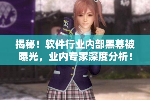 揭秘！軟件行業(yè)內部黑幕被曝光，業(yè)內專家深度分析！