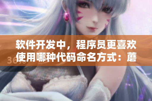 軟件開(kāi)發(fā)中，程序員更喜歡使用哪種代碼命名方式：蘑菇頭還是子彈頭？