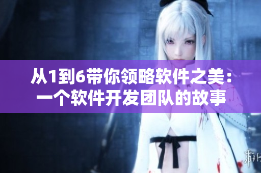 從1到6帶你領(lǐng)略軟件之美：一個軟件開發(fā)團隊的故事