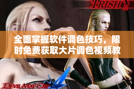 全面掌握軟件調(diào)色技巧，限時(shí)免費(fèi)獲取大片調(diào)色視頻教程全集