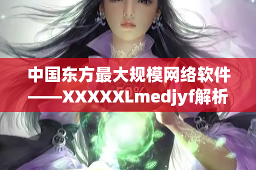 中國東方最大規(guī)模網(wǎng)絡(luò)軟件——XXXXXLmedjyf解析
